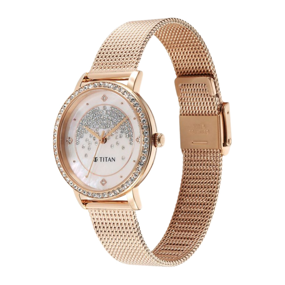 Titan 95236WM03 Women’s Watch description image