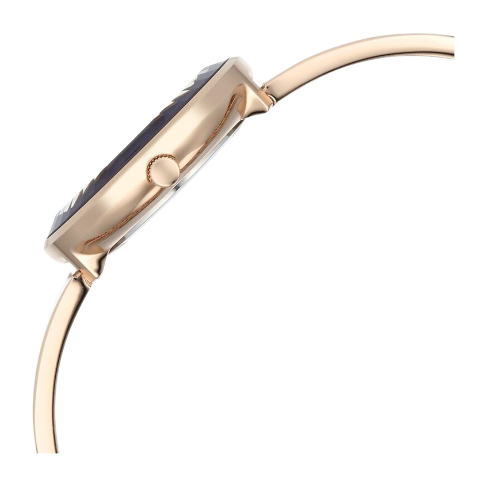 Titan 95276WM01 Women’s Watch description image 2